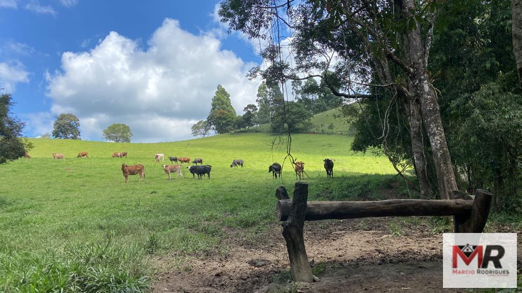 Terreno de 8 ha em Espírito Santo do Dourado, MG