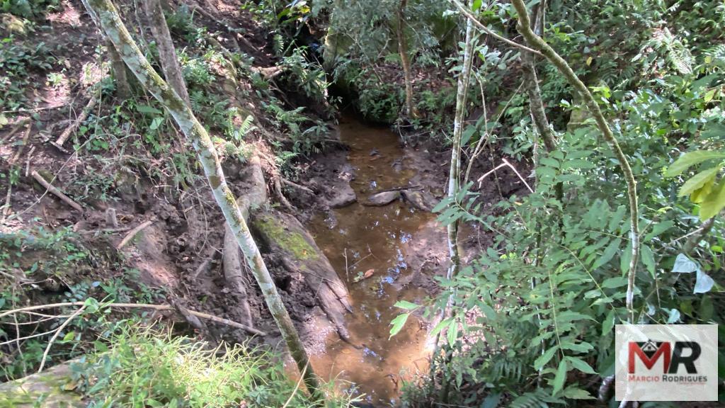 Terreno de 8 ha em Espírito Santo do Dourado, MG