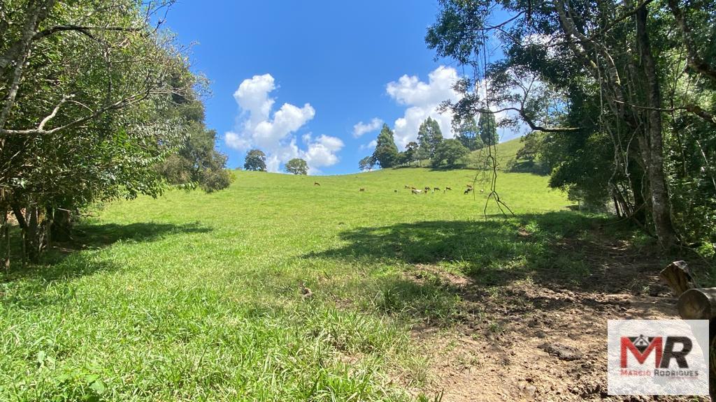 Terreno de 8 ha em Espírito Santo do Dourado, MG