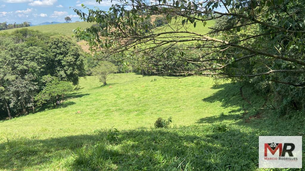 Terreno de 8 ha em Espírito Santo do Dourado, MG