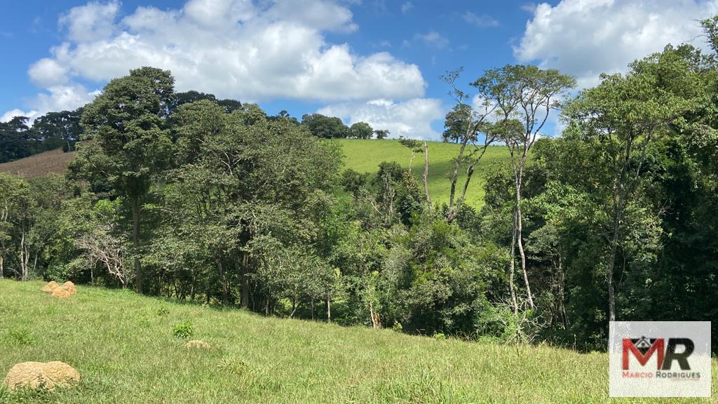 Terreno de 8 ha em Espírito Santo do Dourado, MG