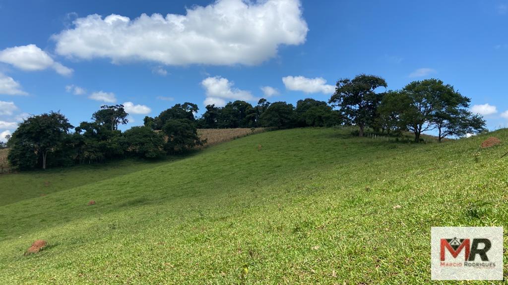 Terreno de 8 ha em Espírito Santo do Dourado, MG