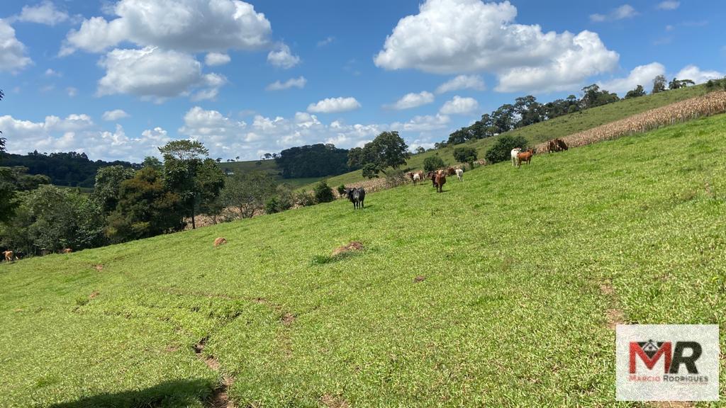 Terreno de 8 ha em Espírito Santo do Dourado, MG