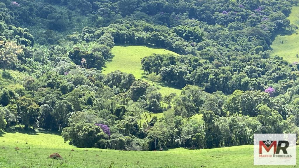 Terreno de 8 ha em Espírito Santo do Dourado, MG