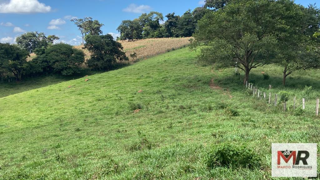 Terreno de 8 ha em Espírito Santo do Dourado, MG