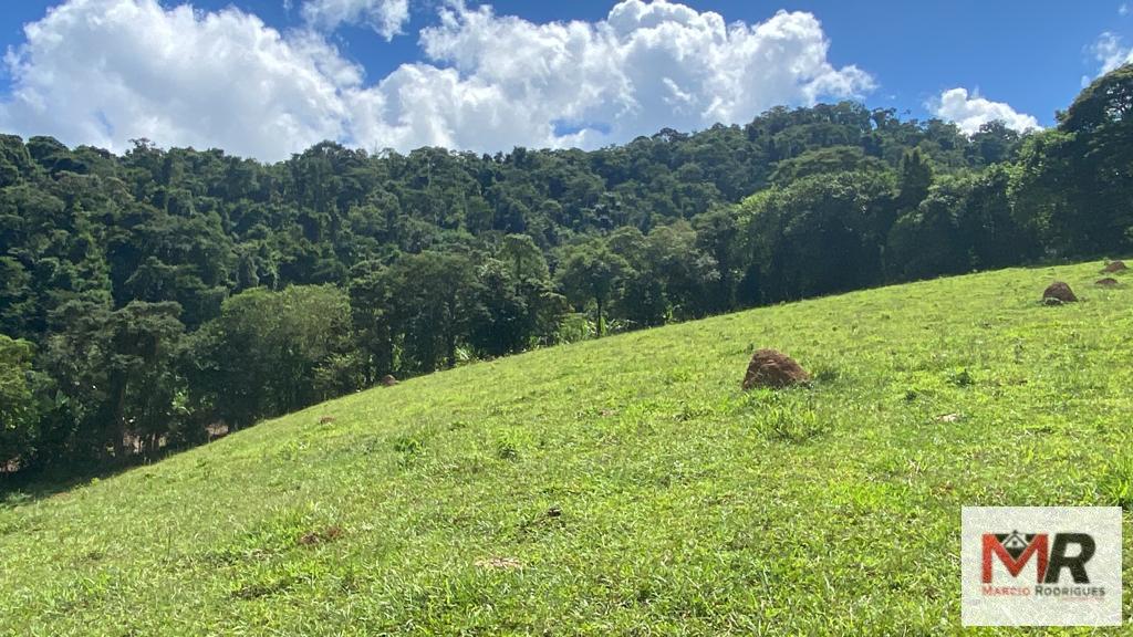 Terreno de 8 ha em Espírito Santo do Dourado, MG