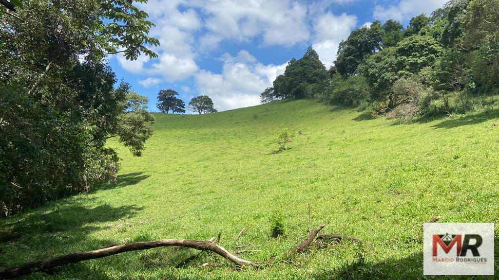 Terreno de 8 ha em Espírito Santo do Dourado, MG