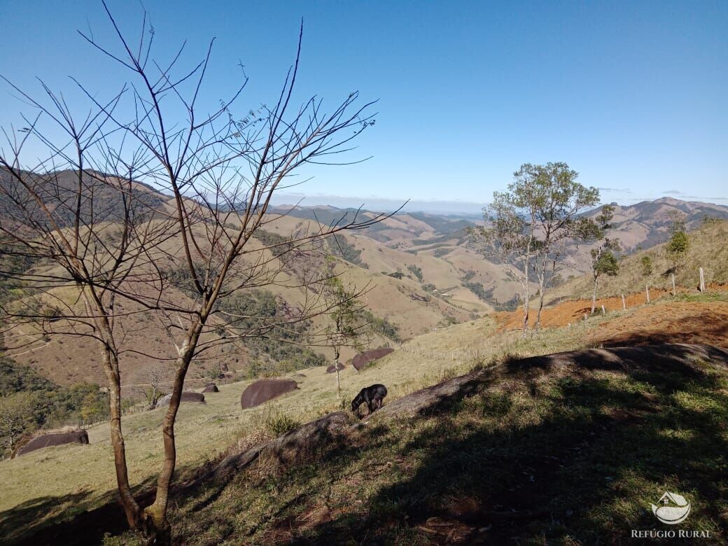 Terreno de 2 ha em São José dos Campos, SP