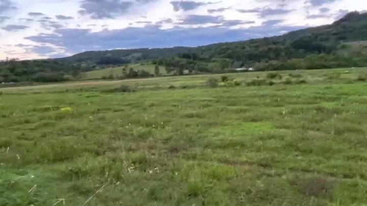 Fazenda de 30 ha em Taquara, RS