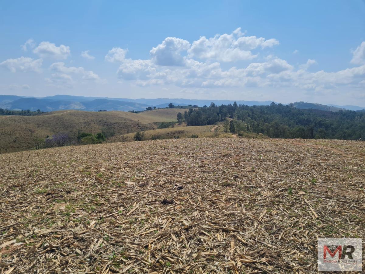 Fazenda de 417 ha em Jacutinga, MG