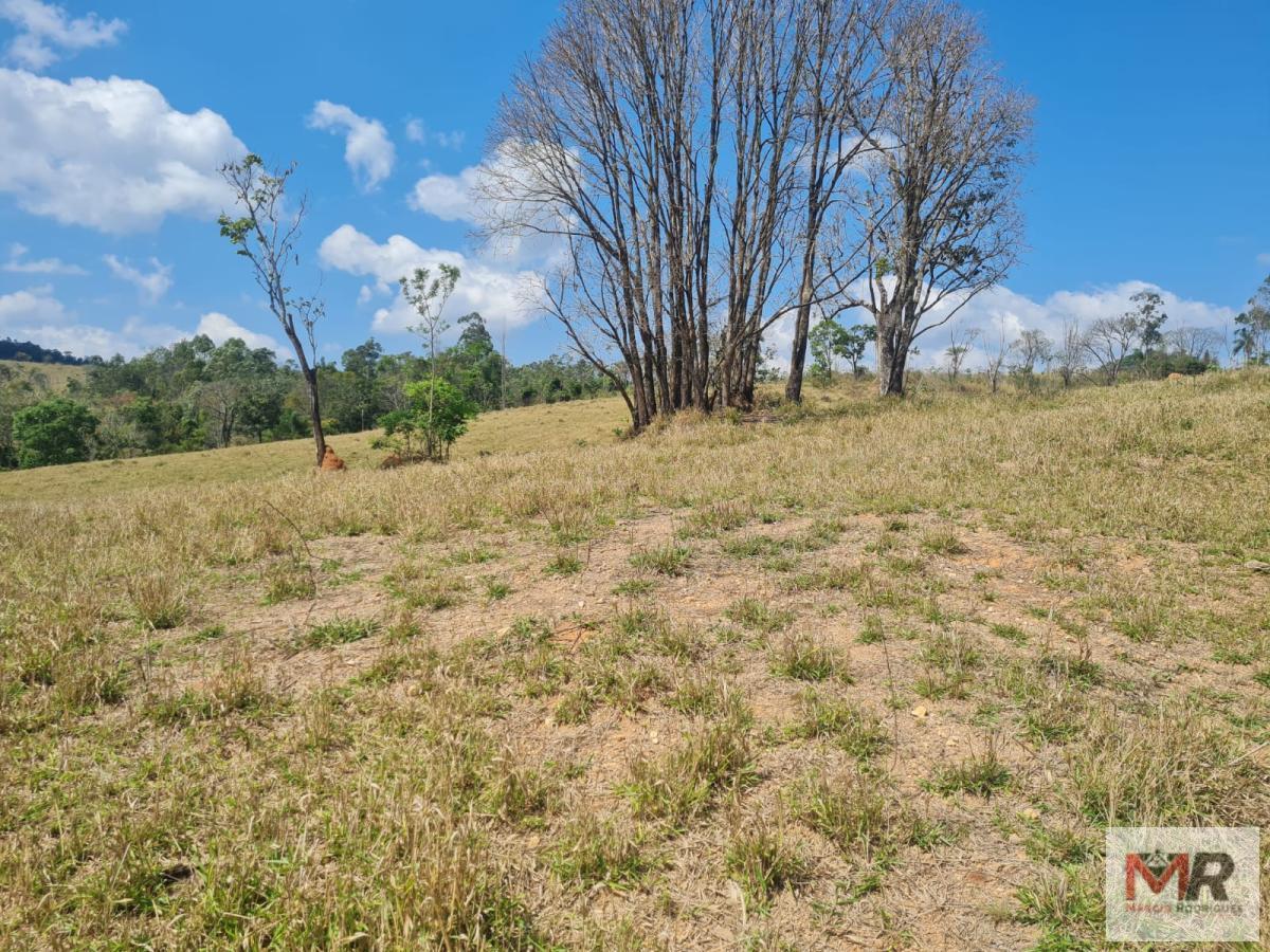 Fazenda de 417 ha em Jacutinga, MG