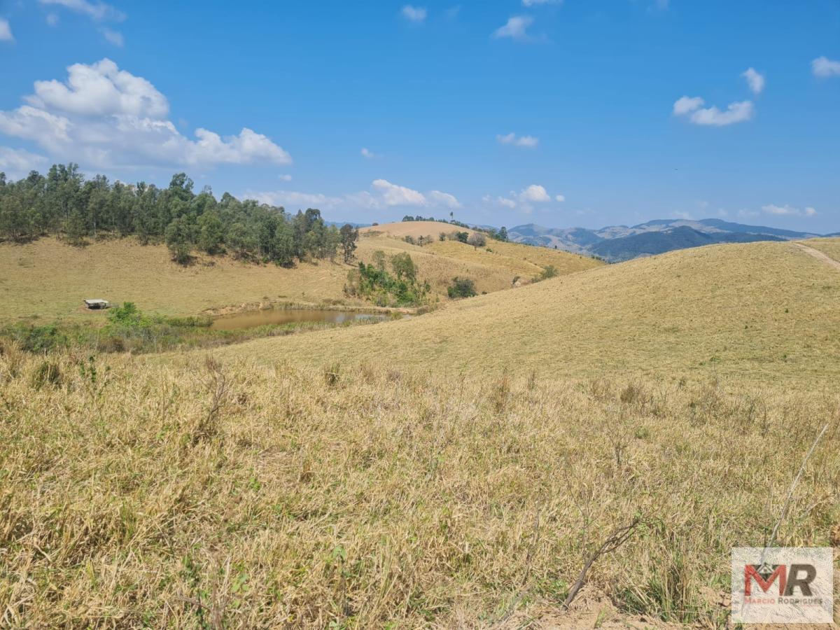 Fazenda de 417 ha em Jacutinga, MG