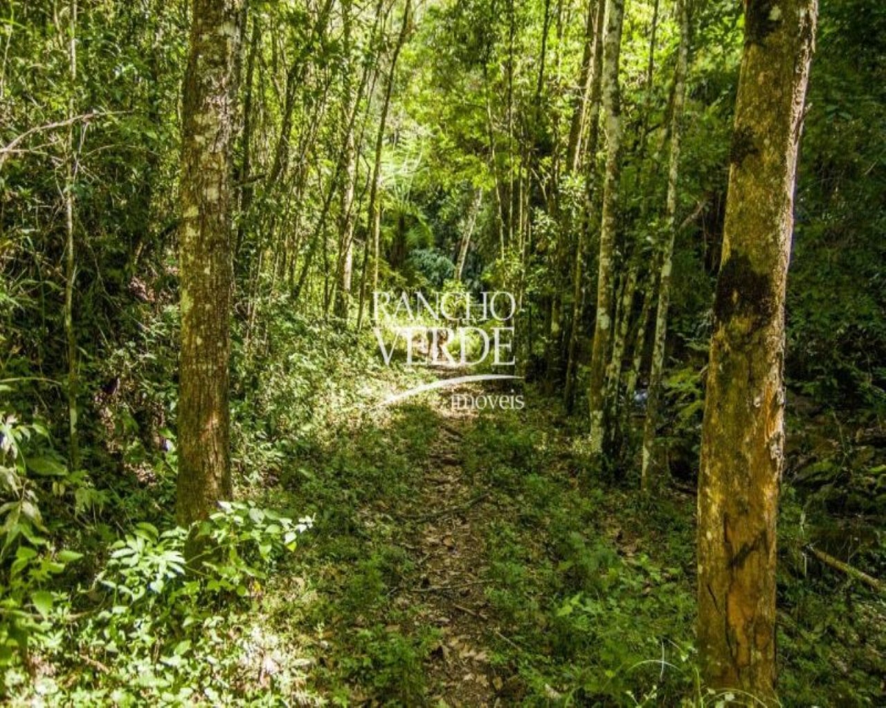 Fazenda de 250 ha em Cruzília, MG