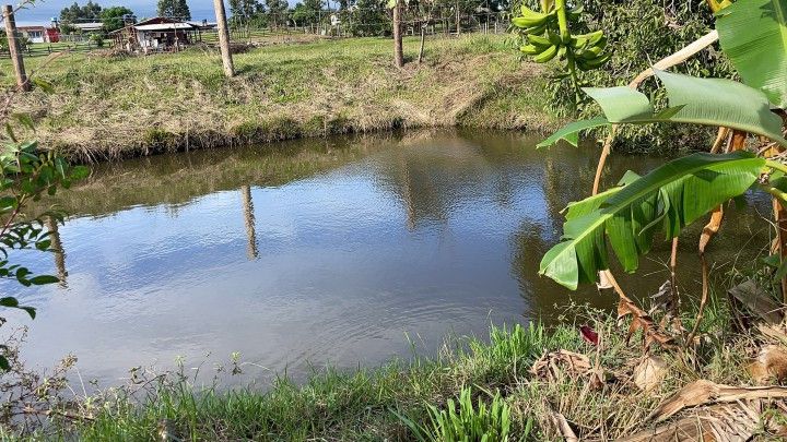 Chácara de 7.300 m² em Santo Antônio da Patrulha, RS