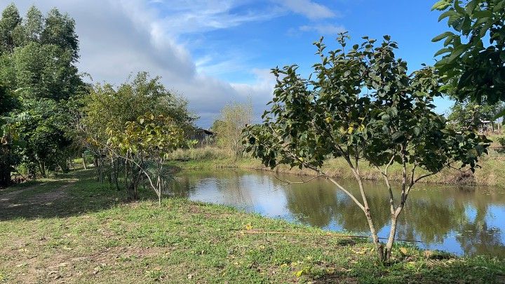 Chácara de 7.300 m² em Santo Antônio da Patrulha, RS