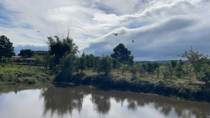 Chácara de 7.300 m² em Santo Antônio da Patrulha, RS