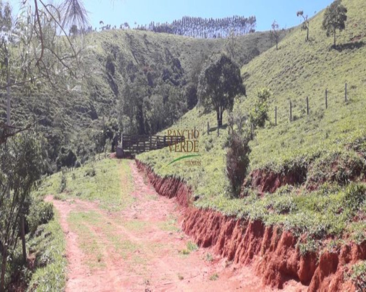 Fazenda de 97 ha em Cunha, SP