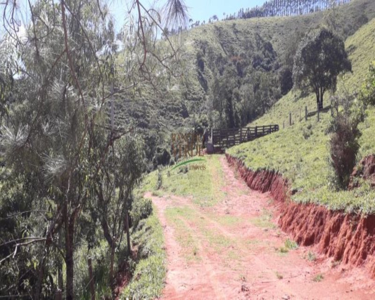 Fazenda de 97 ha em Cunha, SP