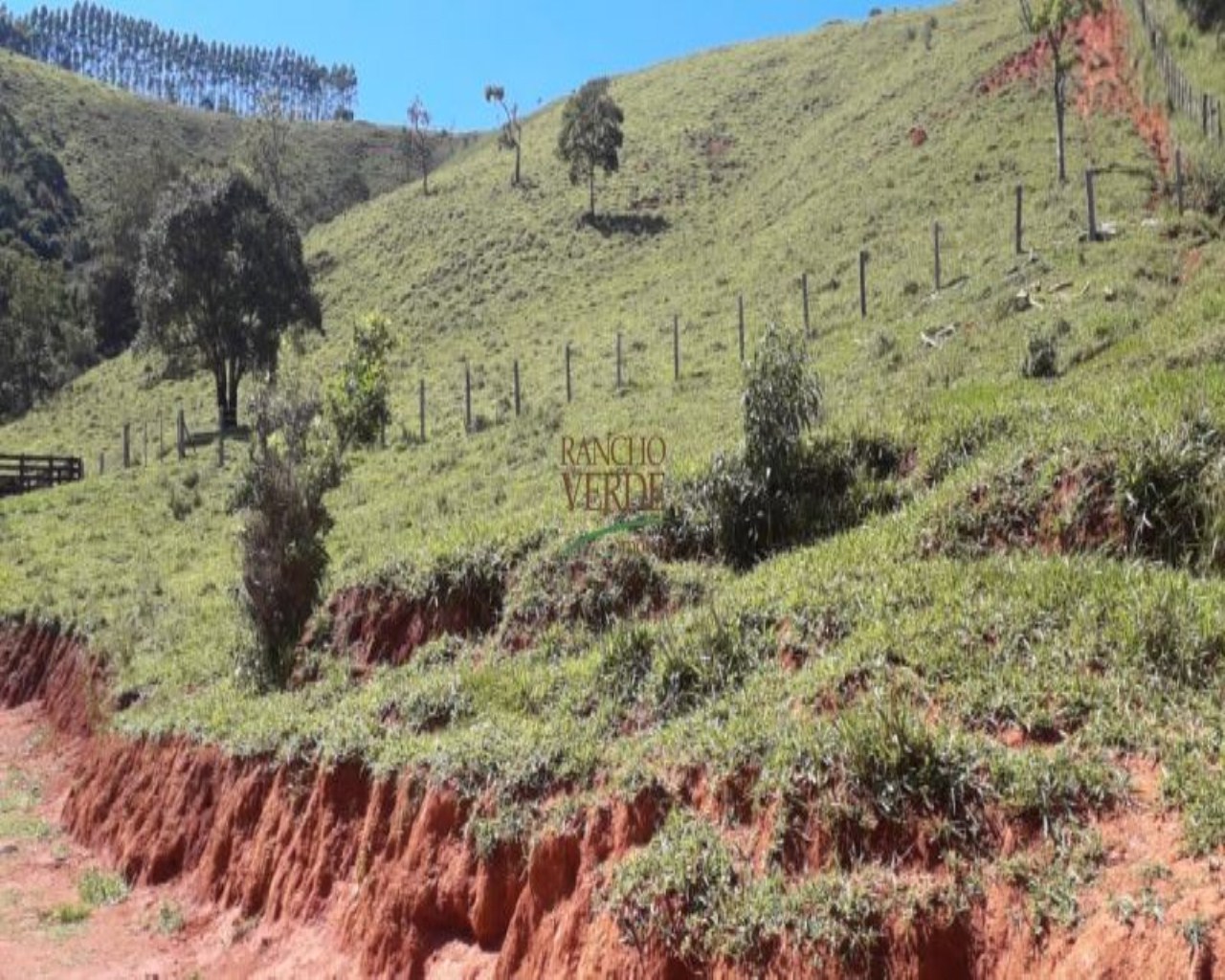 Fazenda de 97 ha em Cunha, SP