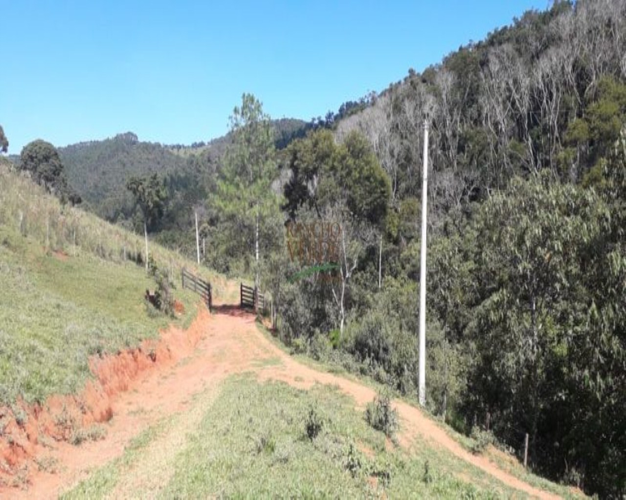 Fazenda de 97 ha em Cunha, SP