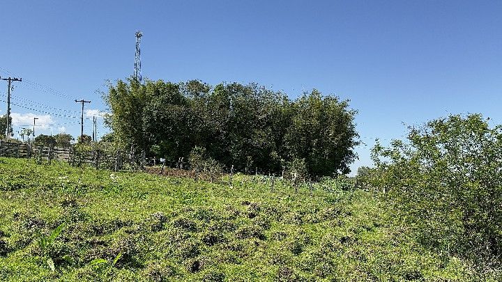 Chácara de 6 ha em Santo Antônio da Patrulha, RS