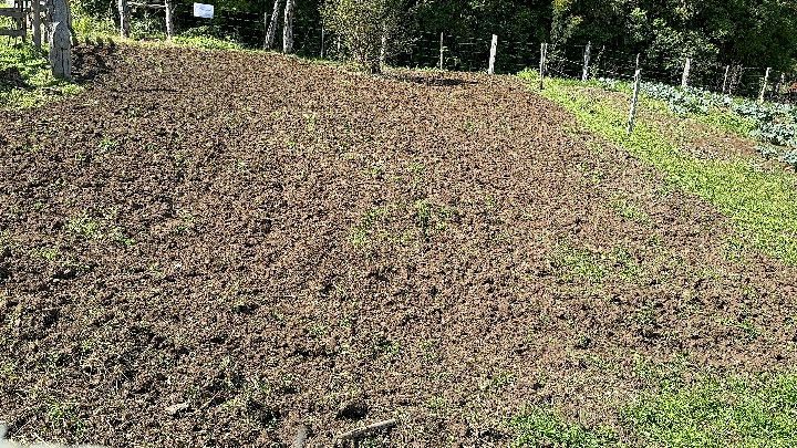 Chácara de 6 ha em Santo Antônio da Patrulha, RS