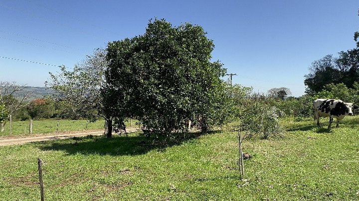 Chácara de 6 ha em Santo Antônio da Patrulha, RS