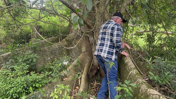 Chácara de 6 ha em Caraá, RS