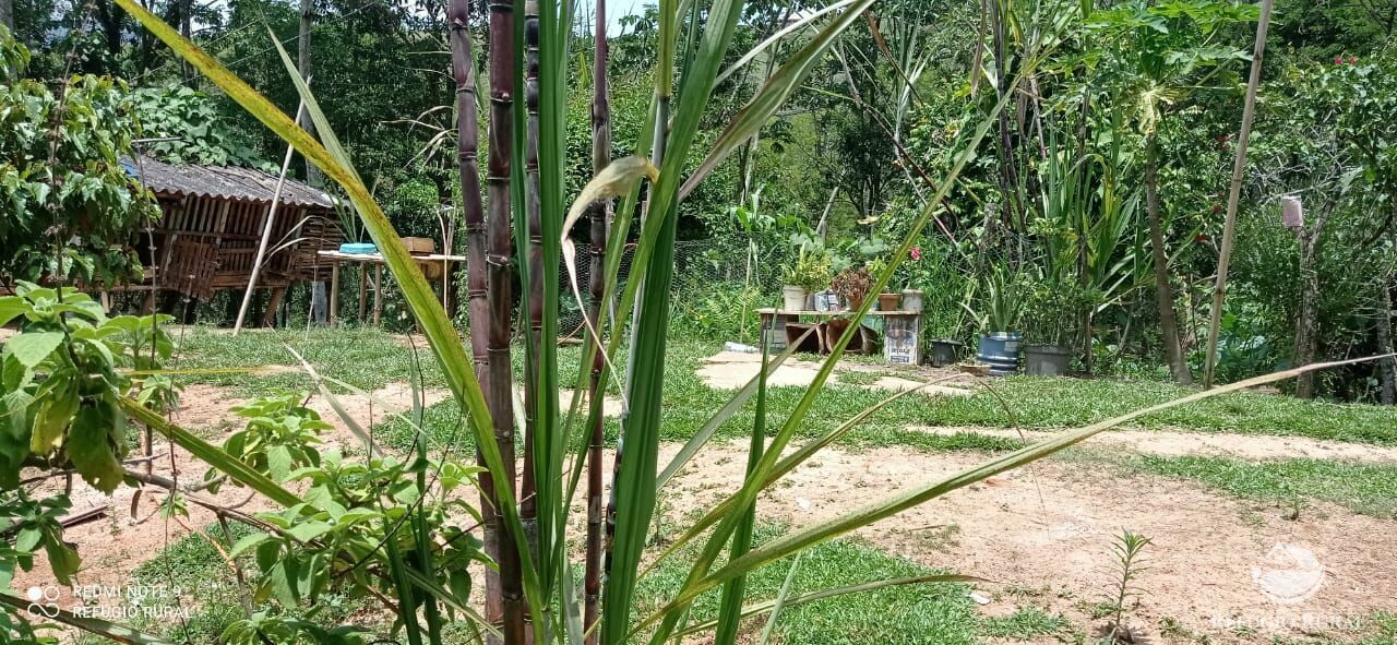 Chácara de 2 ha em Monteiro Lobato, SP