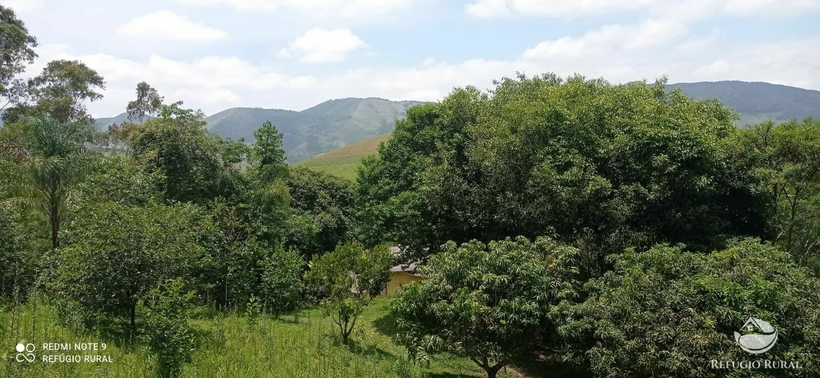 Chácara de 2 ha em Monteiro Lobato, SP