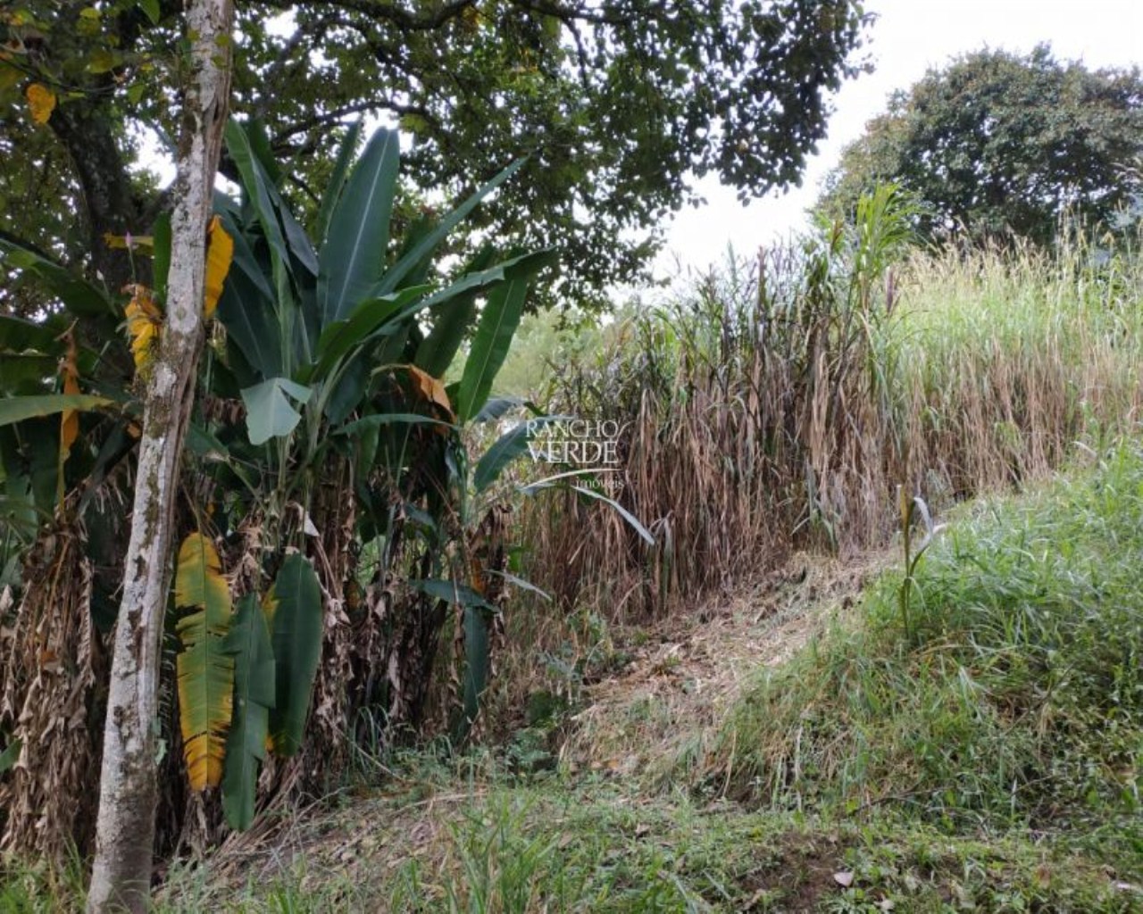 Chácara de 1 ha em São José dos Campos, SP