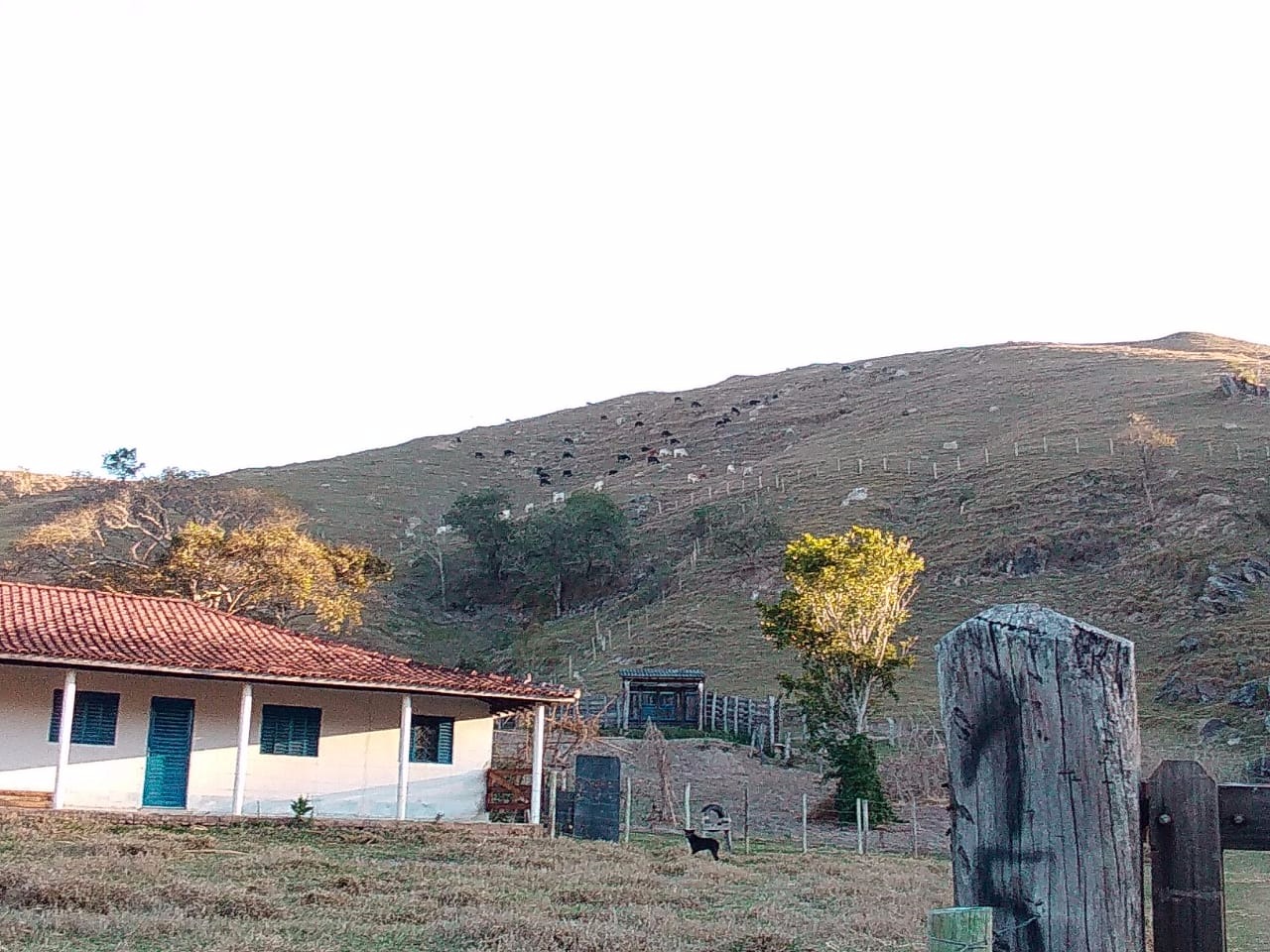 Fazenda de 121 ha em Cunha, SP