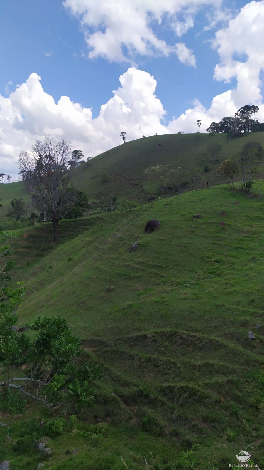 Terreno de 9 ha em Consolação, MG