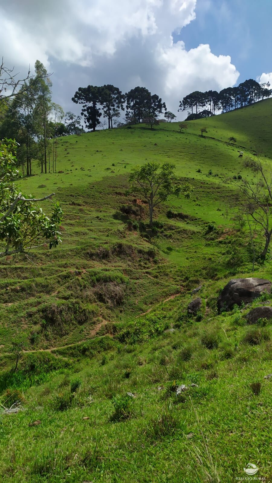 Terreno de 9 ha em Consolação, MG