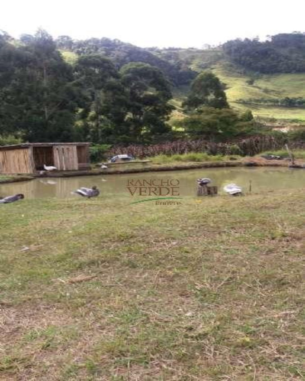 Fazenda de 122 ha em São Luiz do Paraitinga, SP