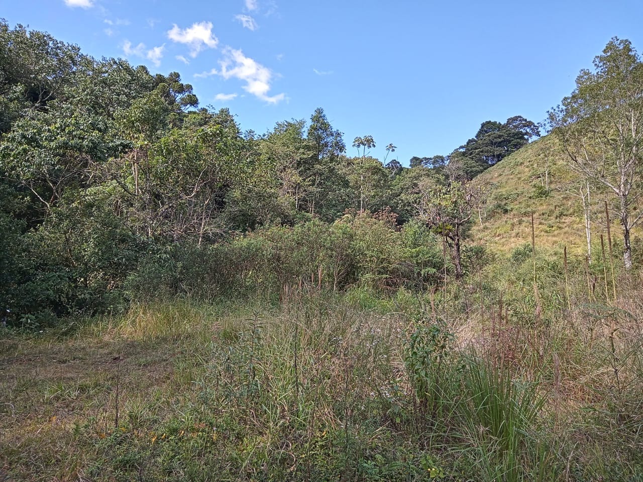 Terreno de 24 ha em São José dos Campos, SP