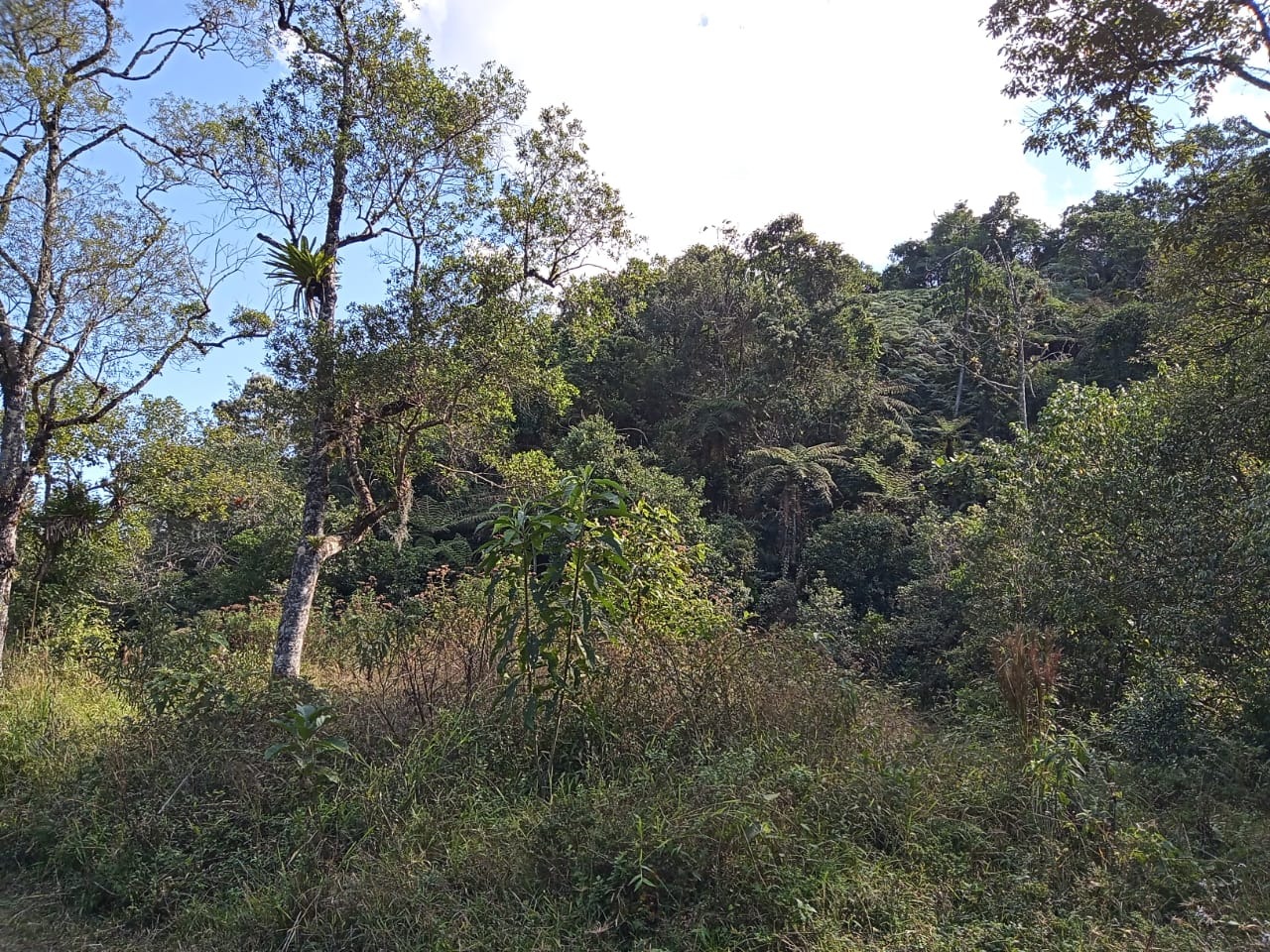 Terreno de 24 ha em São José dos Campos, SP