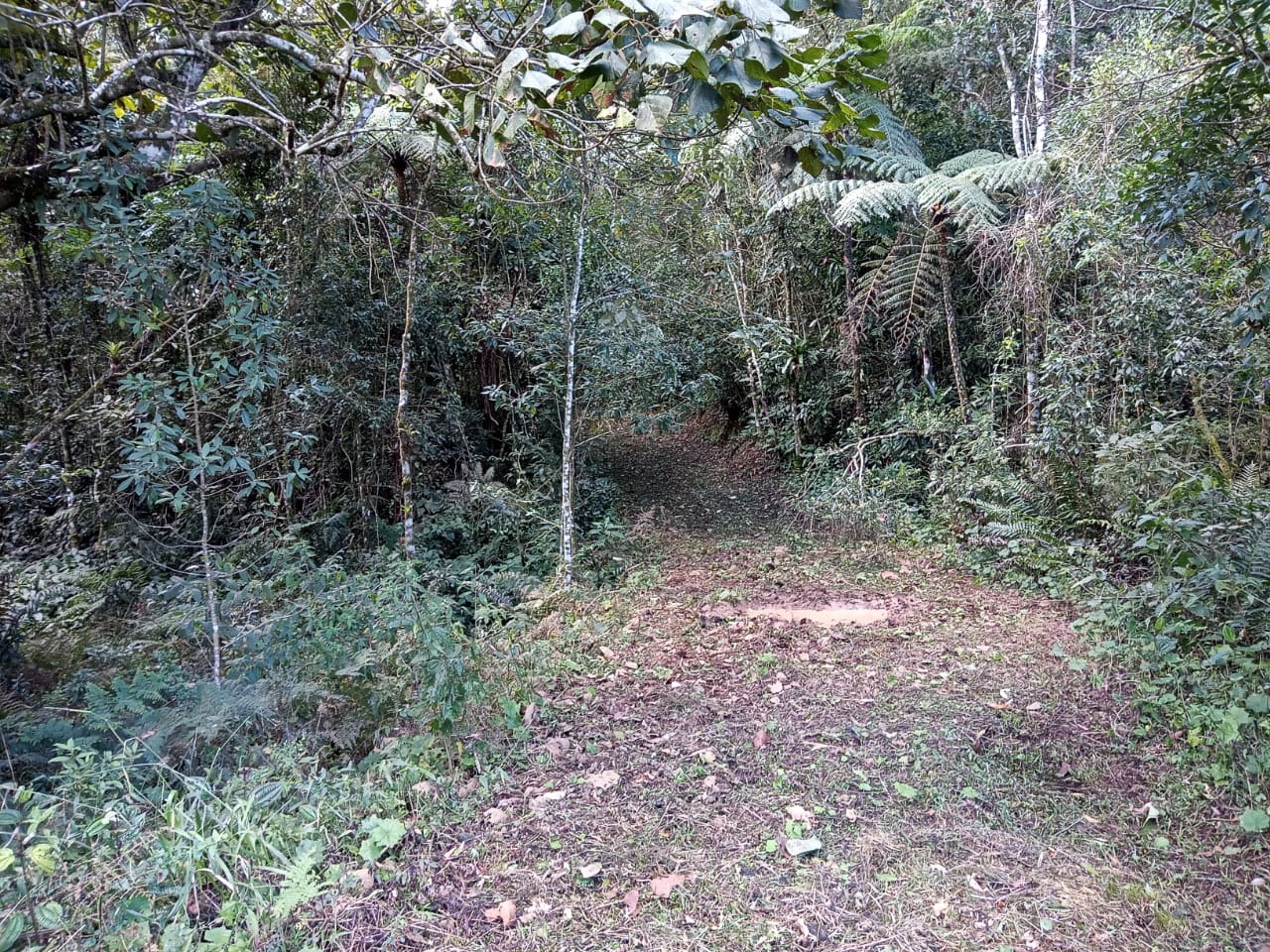 Terreno de 24 ha em São José dos Campos, SP