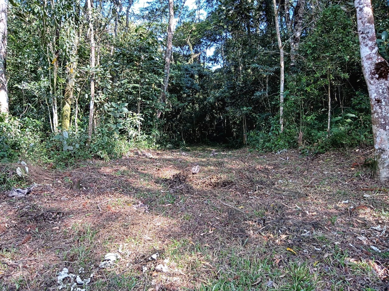 Terreno de 24 ha em São José dos Campos, SP