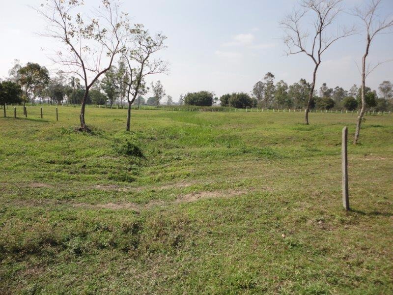 Sítio de 14 ha em Pindamonhangaba, SP