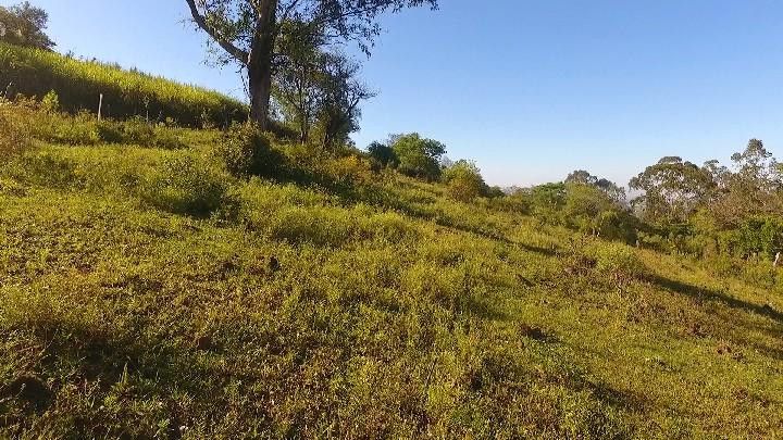 Sítio de 6 ha em Santo Antônio da Patrulha, RS