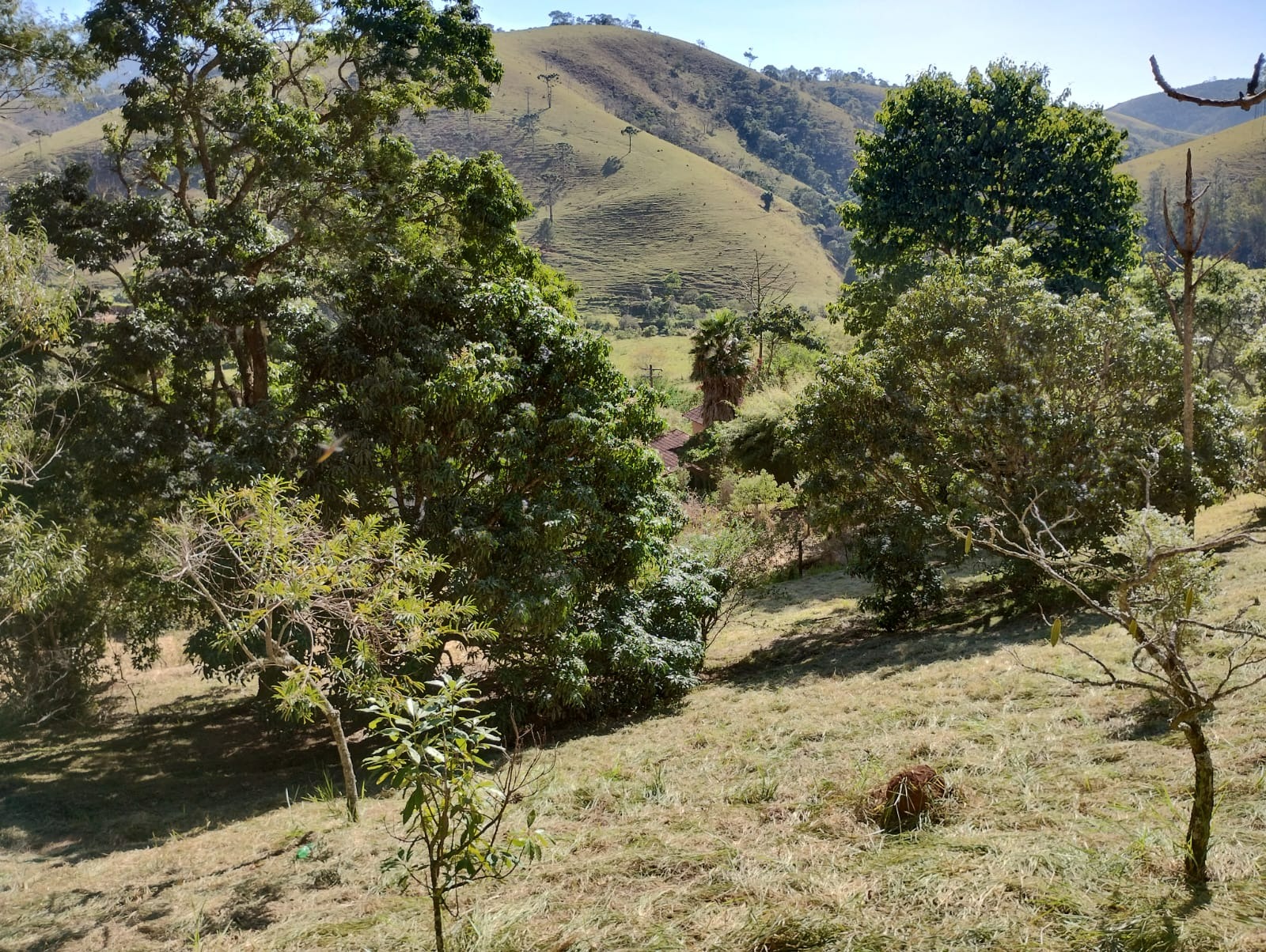 Sítio de 3 ha em Monteiro Lobato, SP