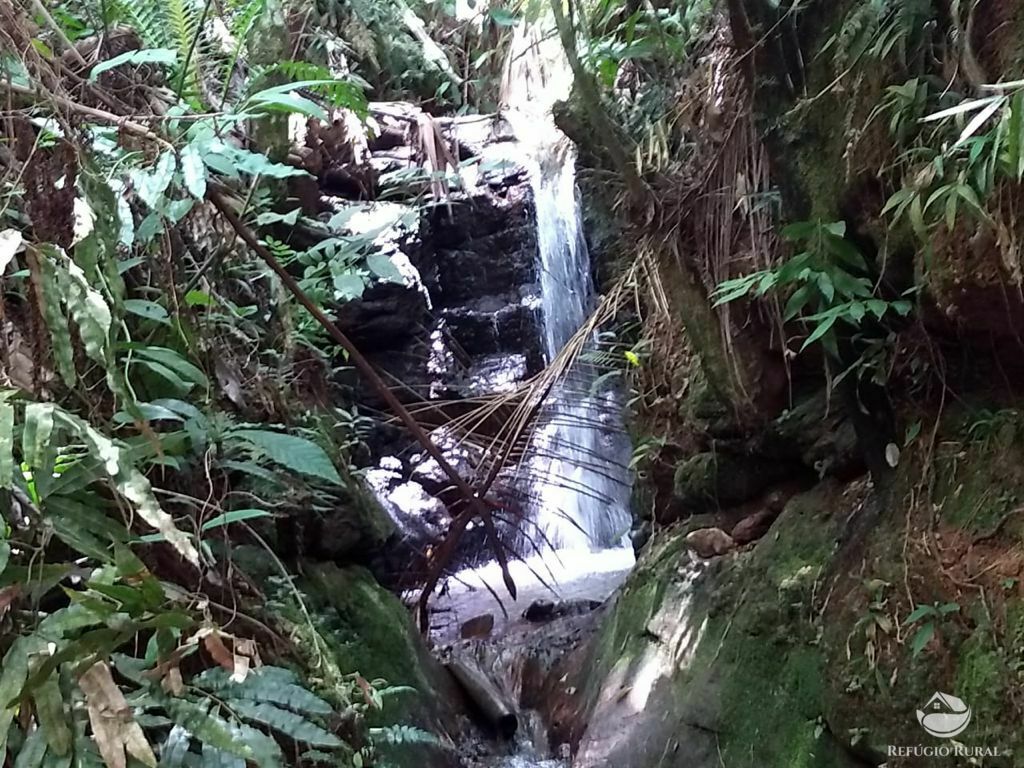 Sítio de 24 ha em Caçapava, SP