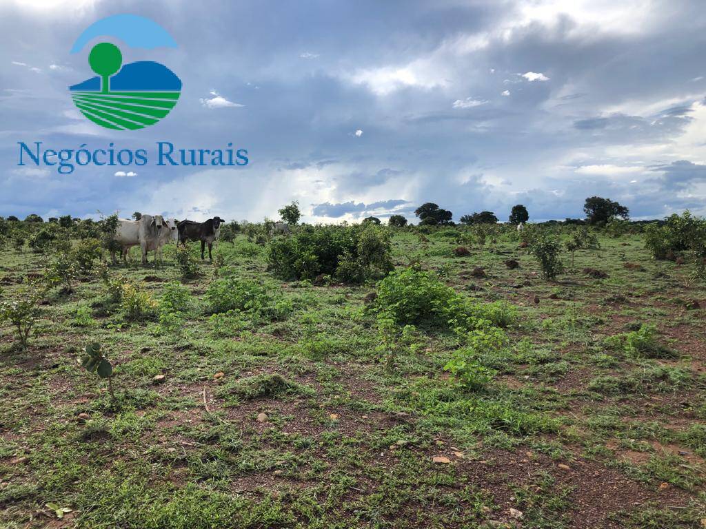 Fazenda de 847 ha em Novo Planalto, GO