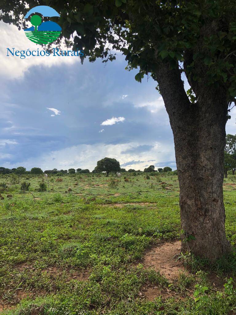 Fazenda de 847 ha em Novo Planalto, GO