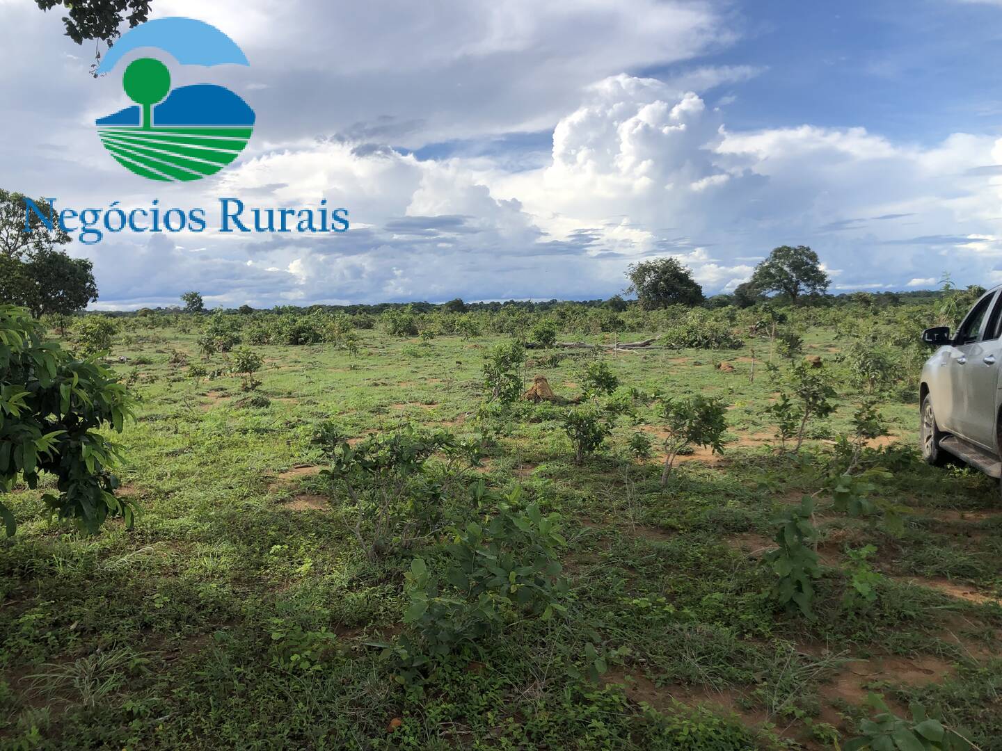 Fazenda de 847 ha em Novo Planalto, GO