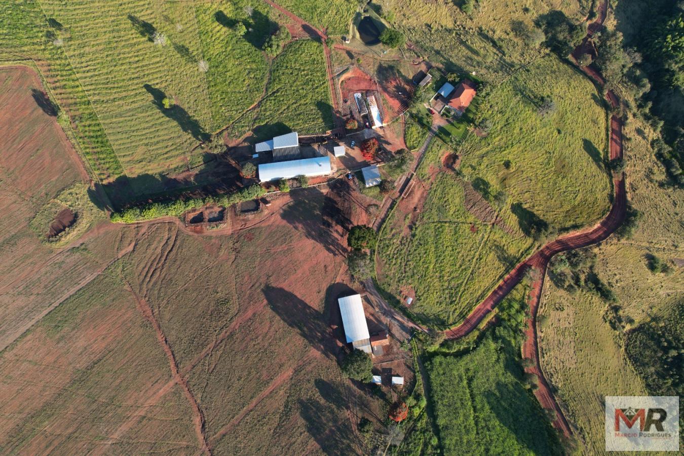 Fazenda de 116 ha em São Gonçalo do Sapucaí, MG