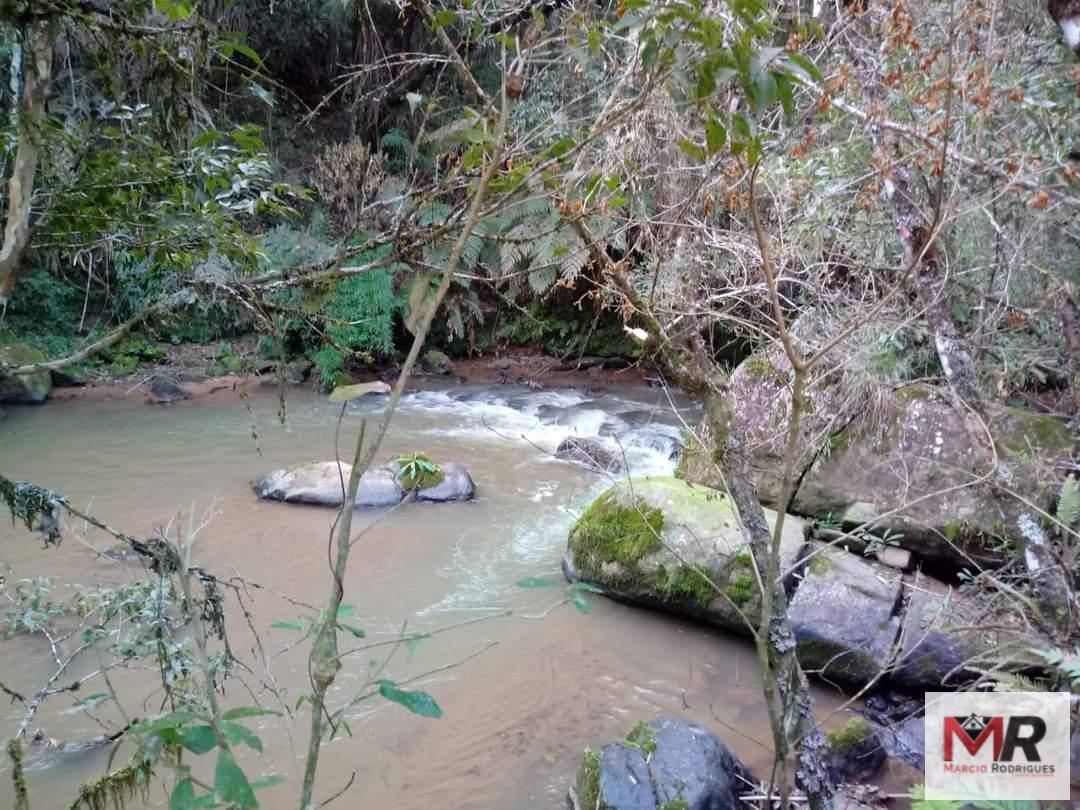 Sítio de 2 ha em Munhoz, MG