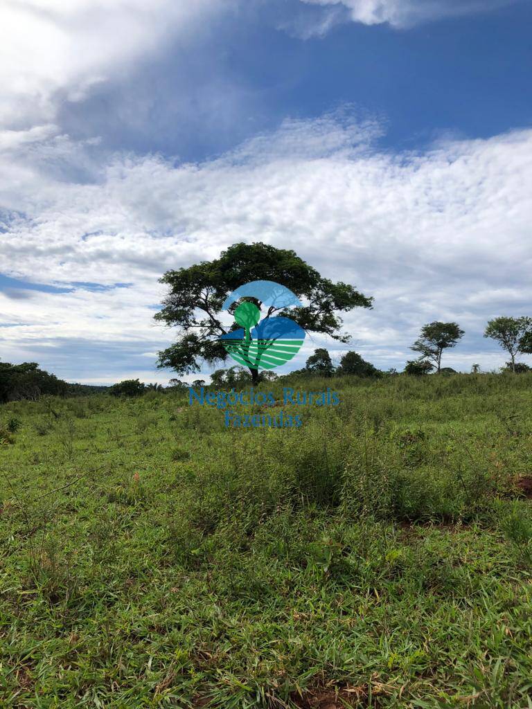 Fazenda de 338 ha em Uruaçu, GO