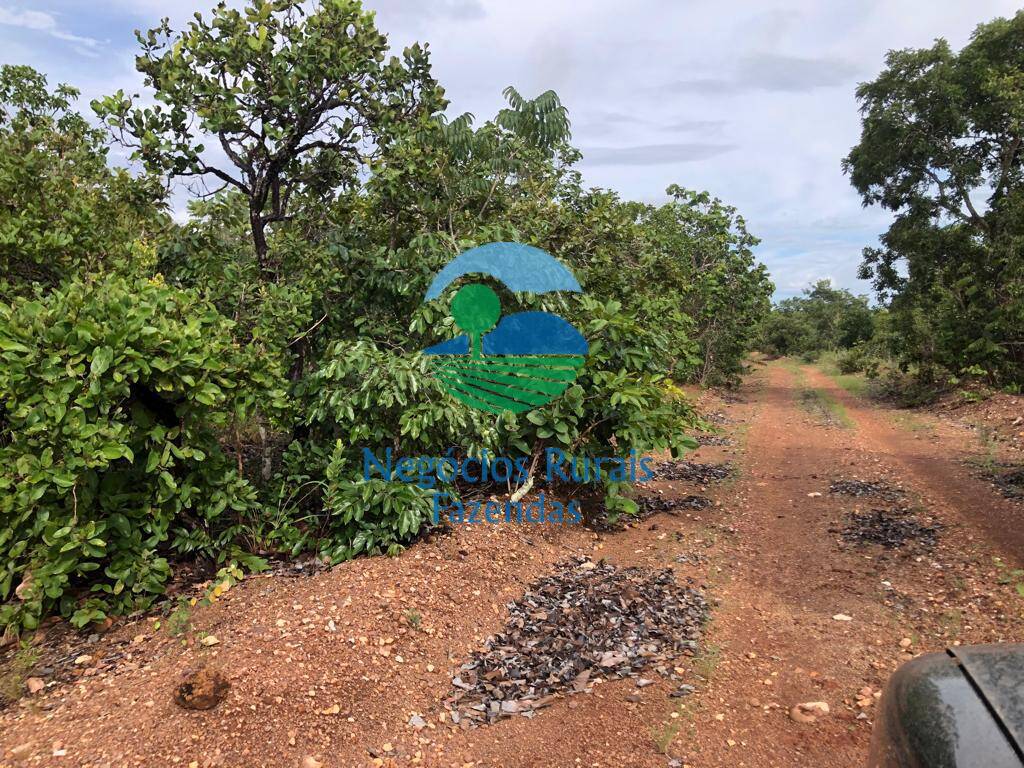 Fazenda de 338 ha em Uruaçu, GO